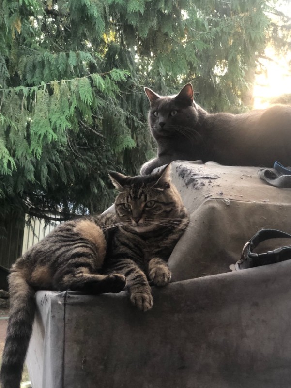 Jax uploaded   3 year/s ago