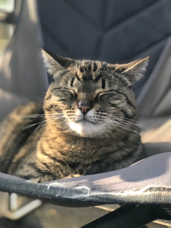 Jax uploaded   2 year/s ago