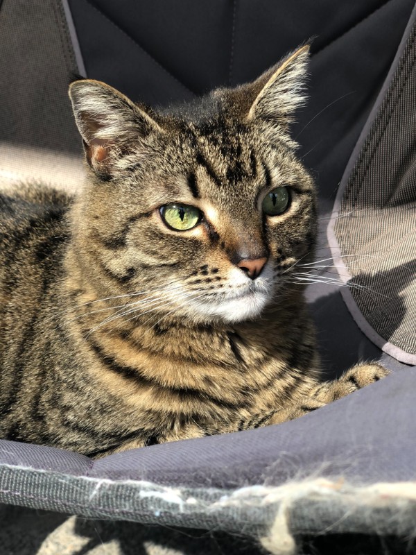 Jax uploaded   2 year/s ago