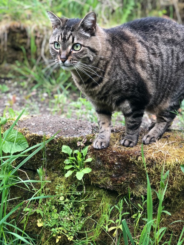 Jax uploaded   1 year/s ago