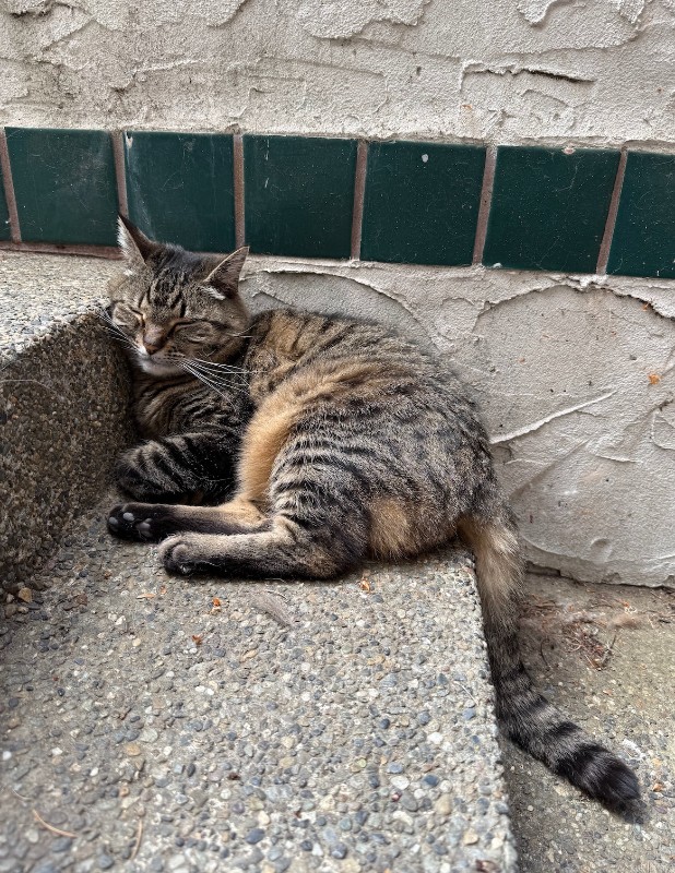 Jax uploaded   313  day/s  ago