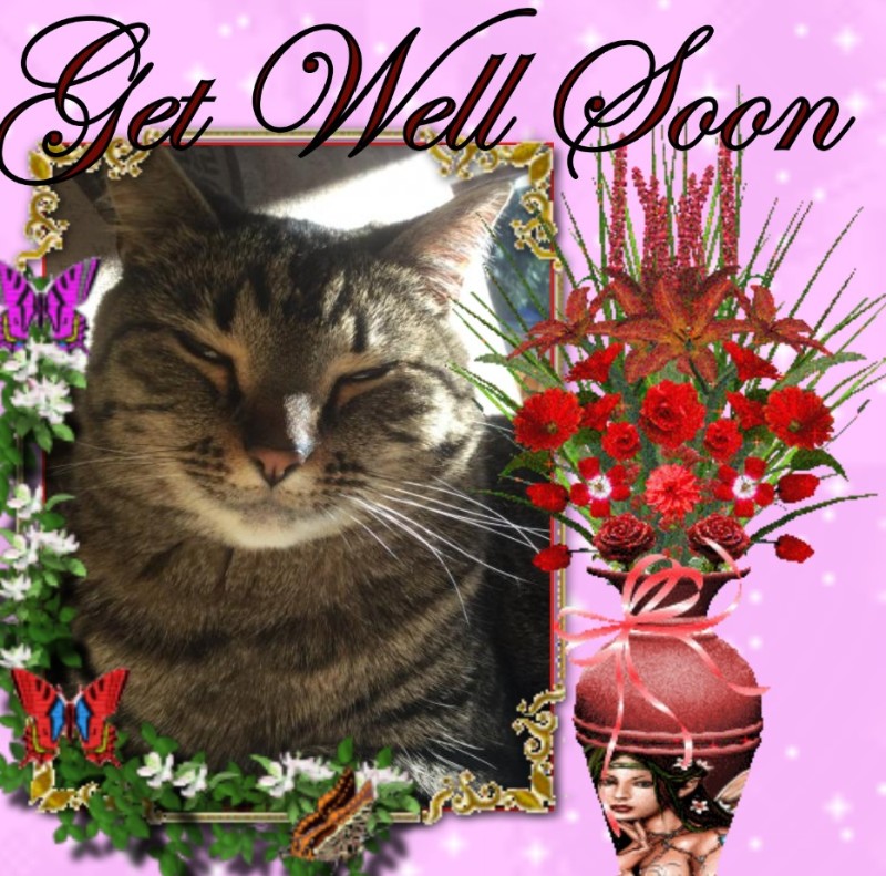 Jax uploaded   322  day/s  ago