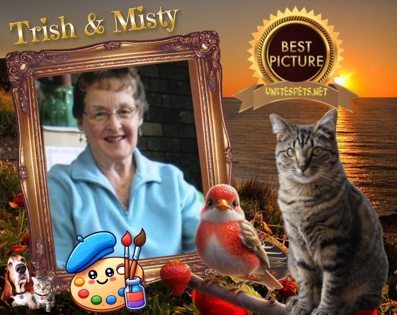 Misty of the Jax family