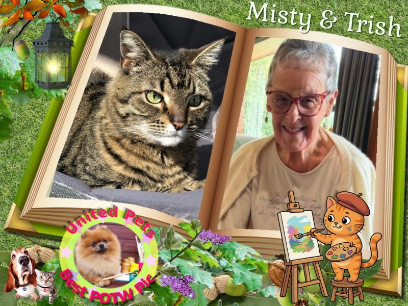 Misty of the Jax family