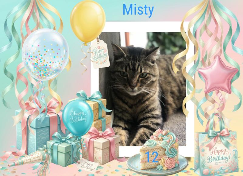 Misty of the Jax family