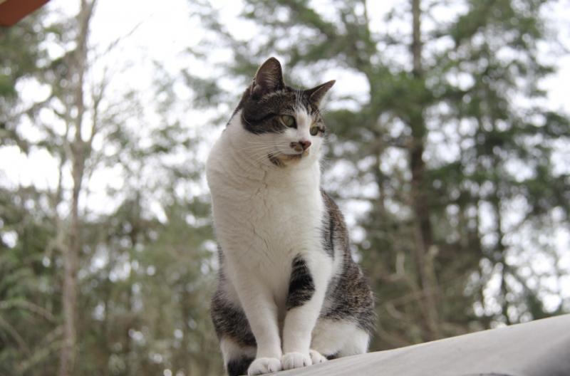 Jax uploaded   2 year/s ago