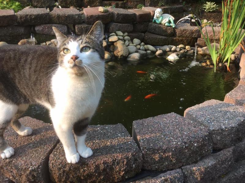 Jax uploaded   121  day/s  ago