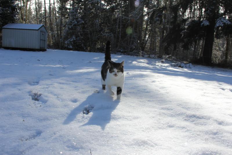 Jax uploaded   1 year/s ago