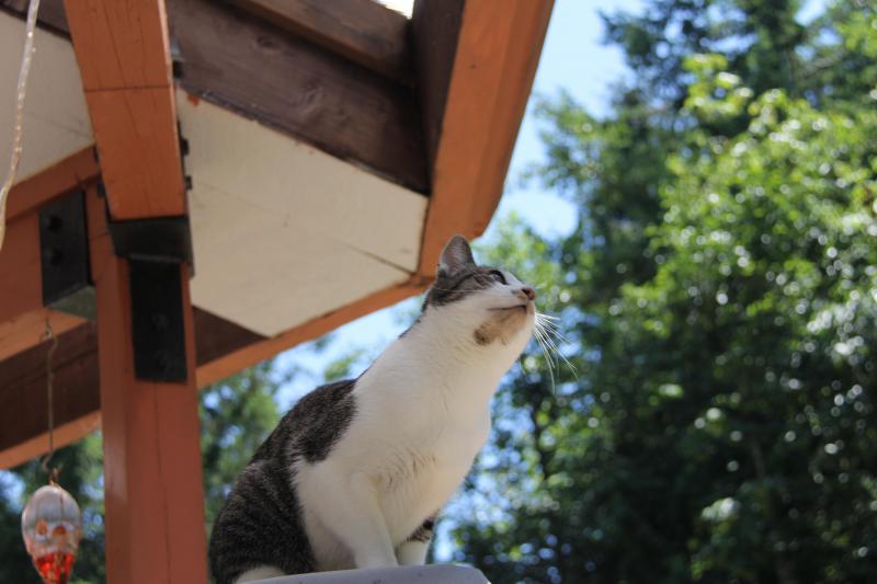 Jax uploaded   284  day/s  ago