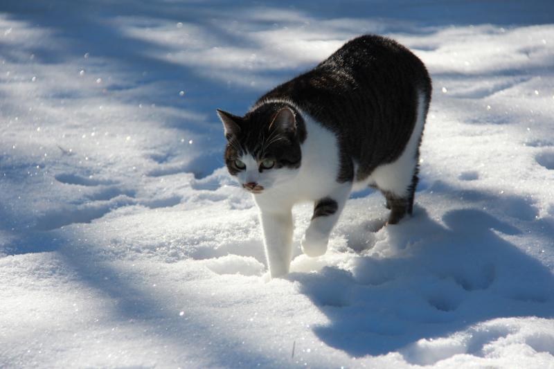 Jax uploaded   194  day/s  ago