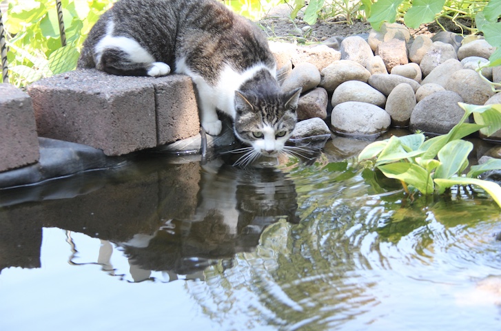 Jax uploaded   3 year/s ago