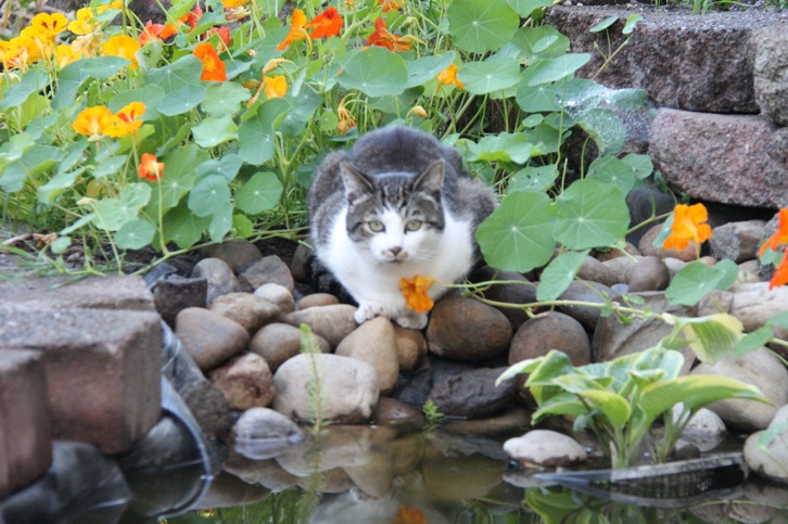 Jax uploaded   1 year/s ago