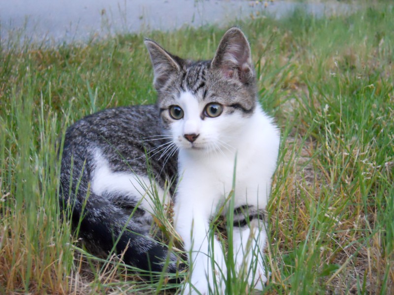 Jax uploaded   3 year/s ago