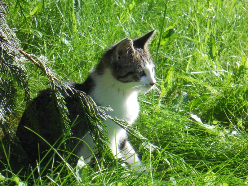 Jax uploaded   3 year/s ago