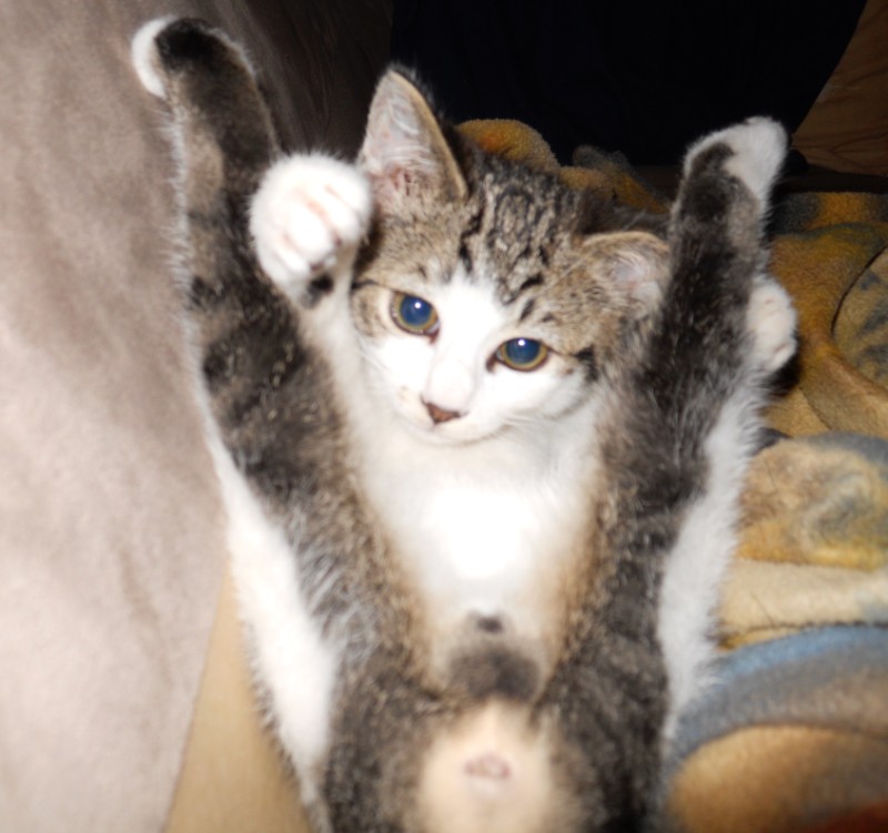 Jax uploaded   1 year/s ago