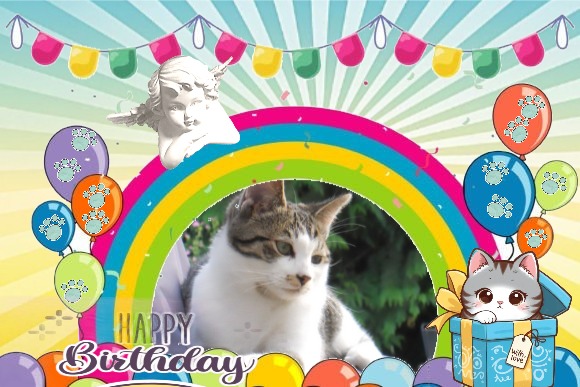 Mac of the Jax family