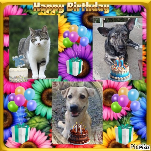 Mac of the Jax family