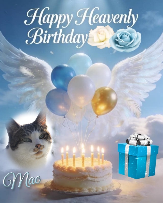 Mac of the Jax family