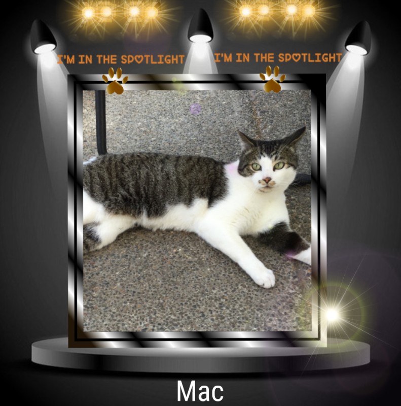 Mac of the Jax family