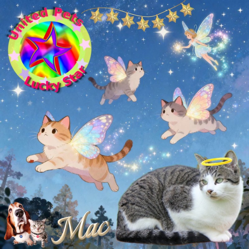 Mac of the Jax family