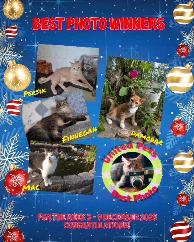 Mac of the Jax family