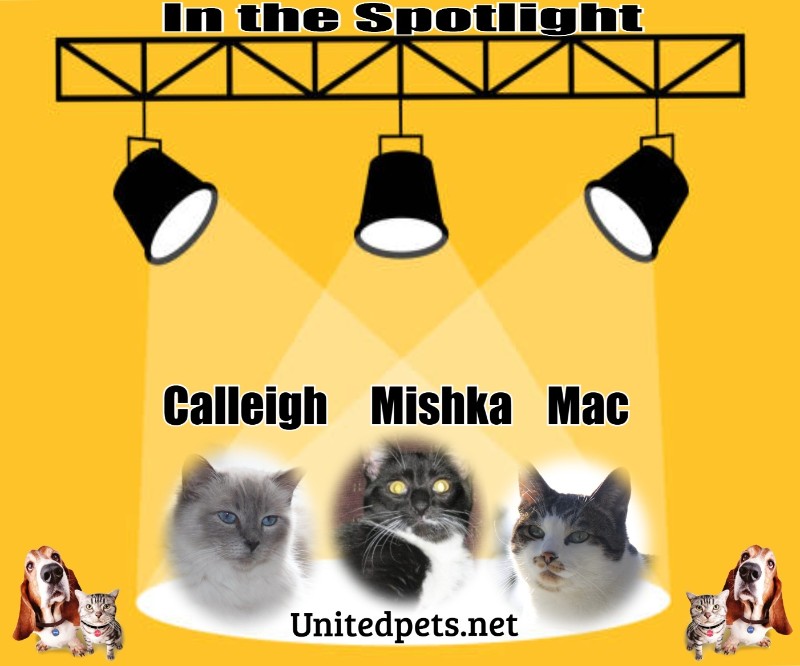 Jax uploaded   17  day/s  ago