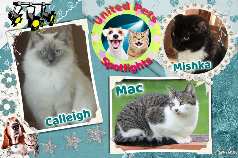 Jax uploaded   17  day/s  ago