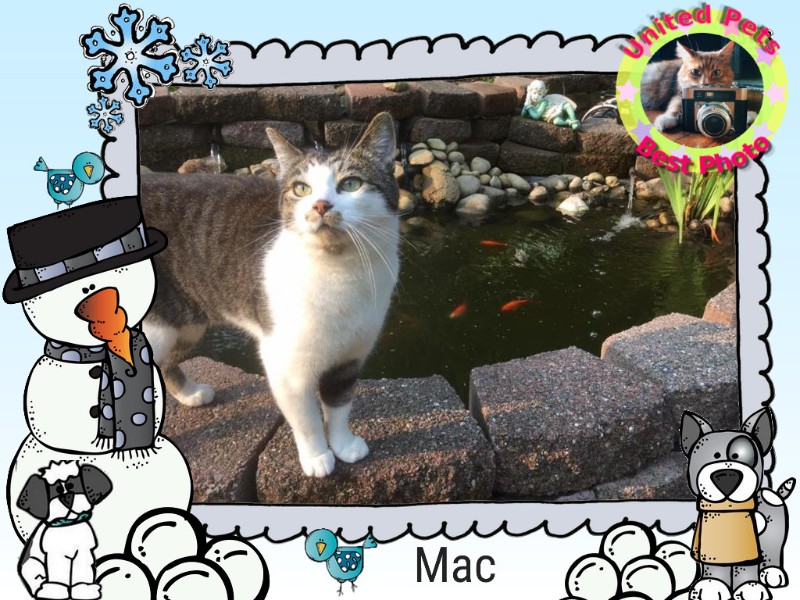 Mac of the Jax family