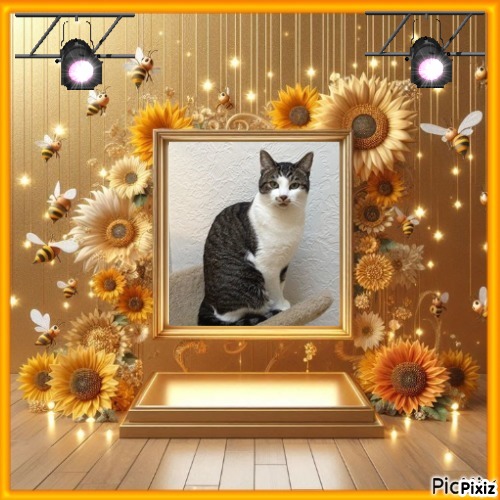 Mac of the Jax family