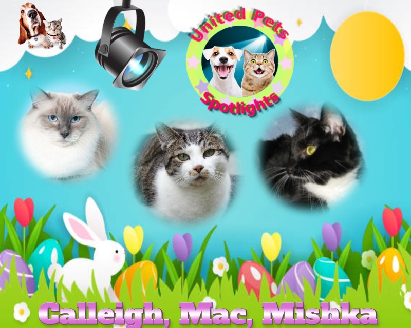 Mac of the Jax family