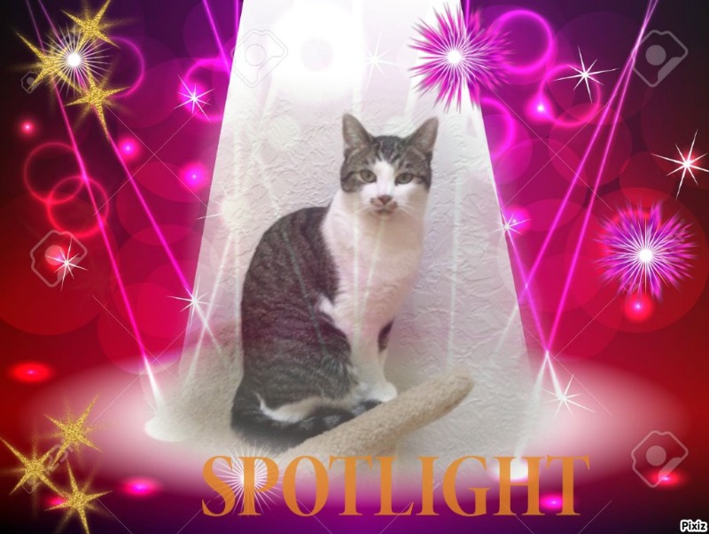 Mac of the Jax family