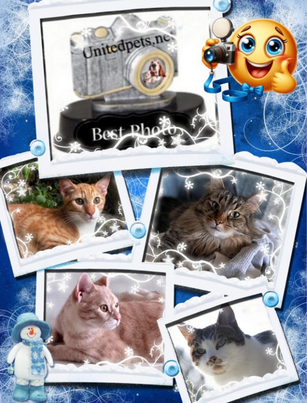 Mac of the Jax family