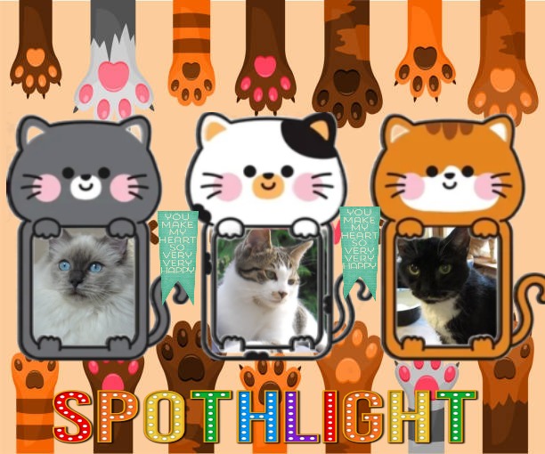 Jax uploaded   17  day/s  ago