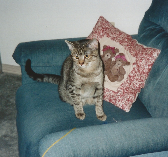 Jax uploaded   141  day/s  ago