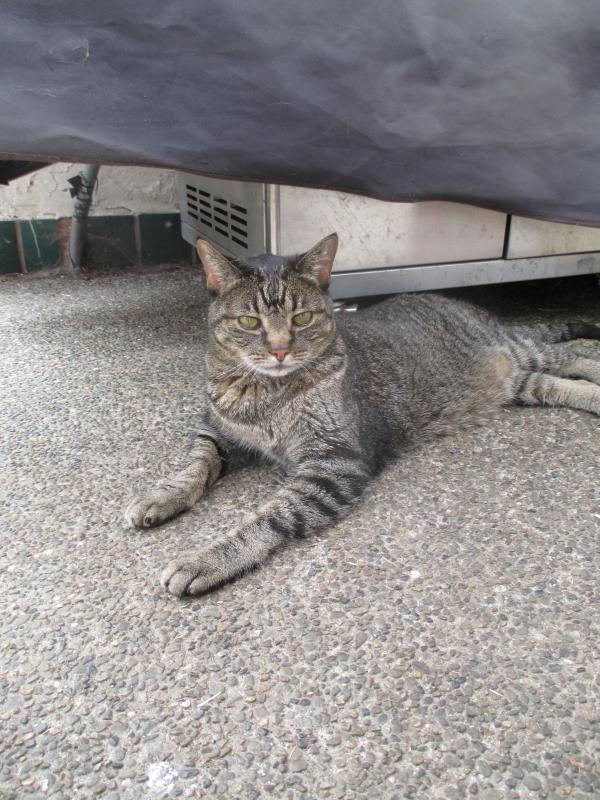 Jax uploaded   278  day/s  ago