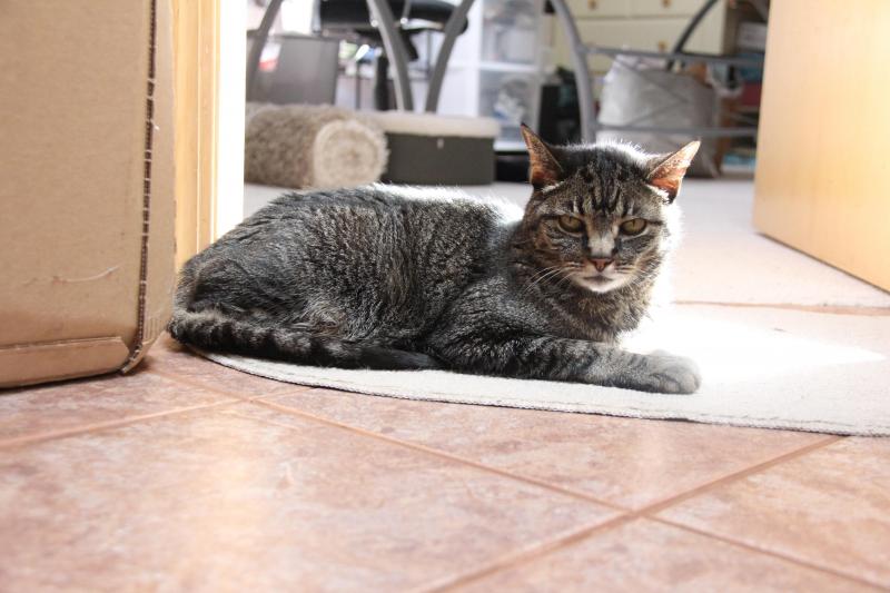 Jax uploaded   272  day/s  ago