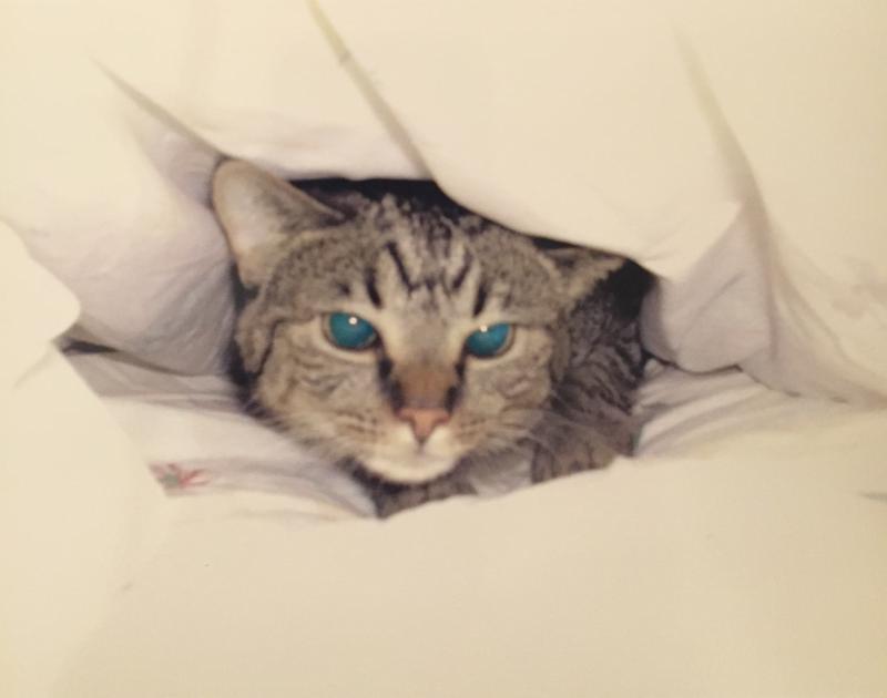 Jax uploaded   7  day/s  ago