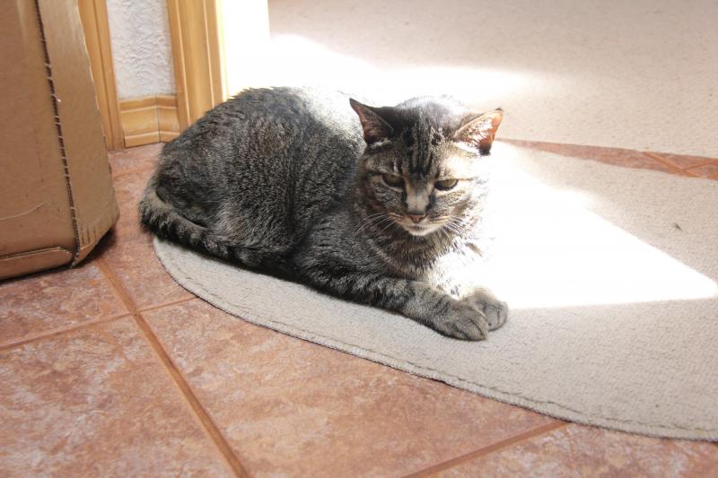 Jax uploaded   272  day/s  ago