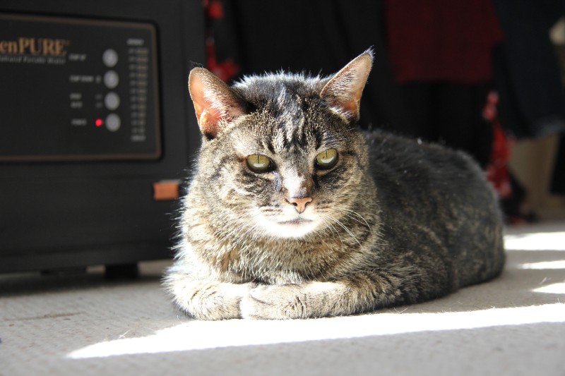 Jax uploaded   3 year/s ago