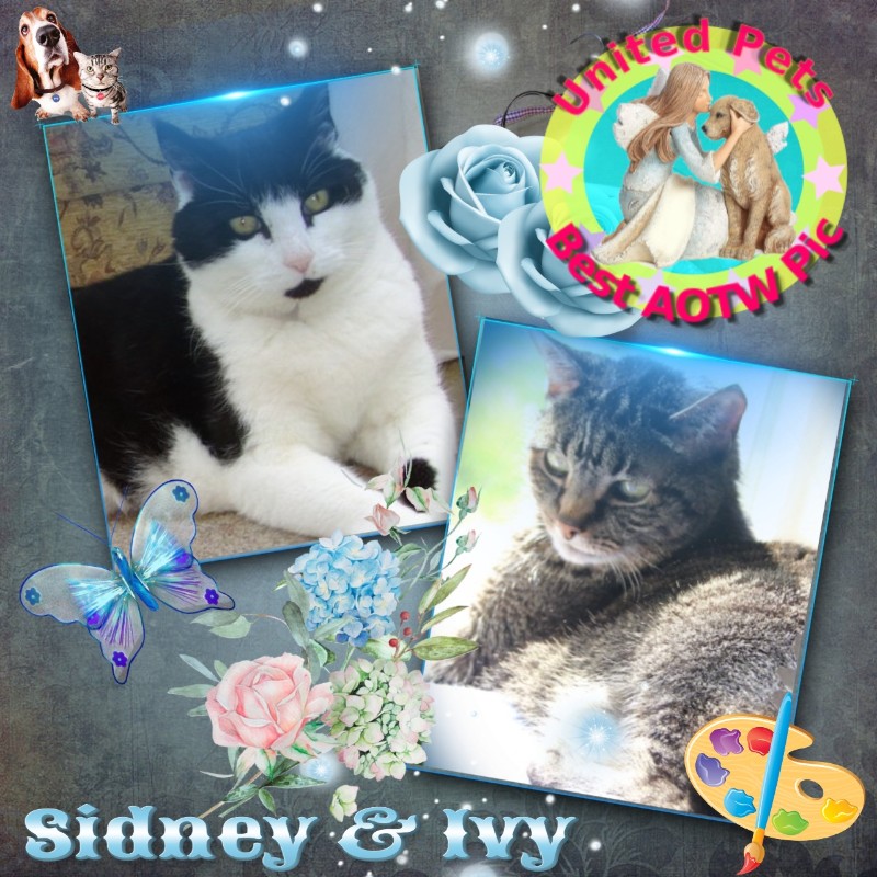 Ivy of the Jax family