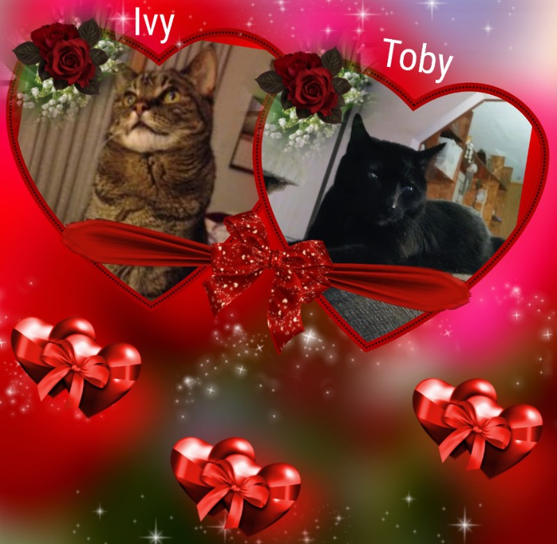 Ivy of the Jax family