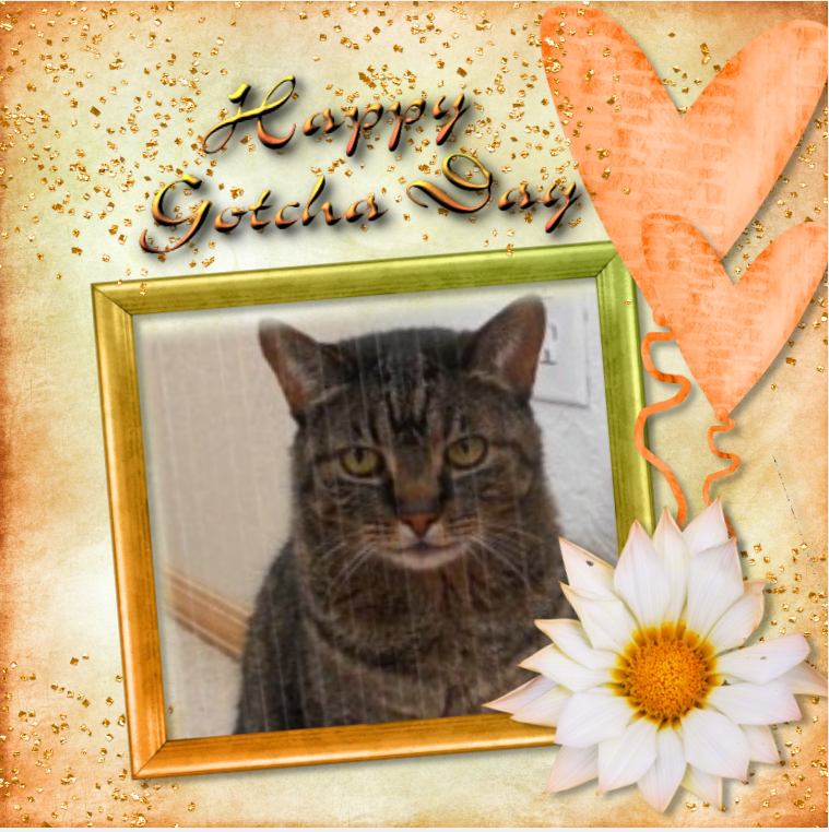 Ivy of the Jax family