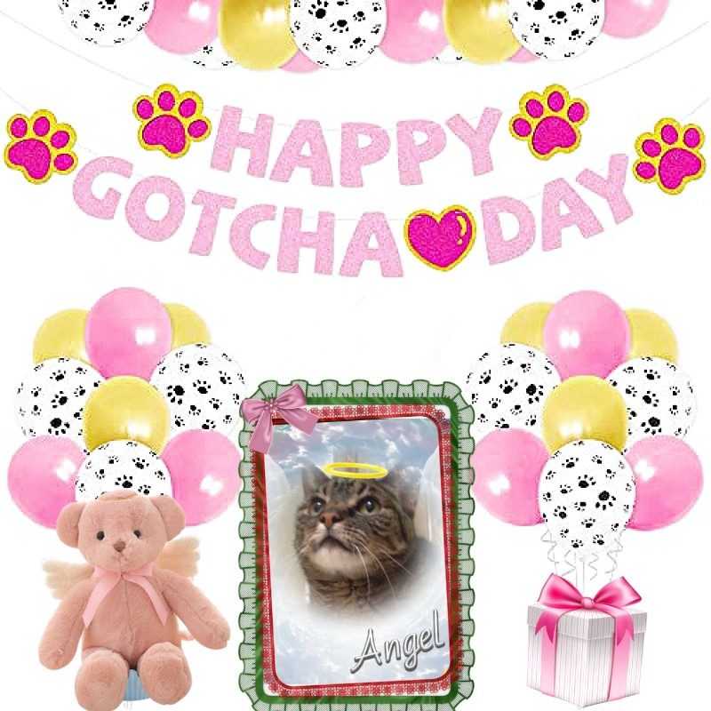 Ivy of the Jax family