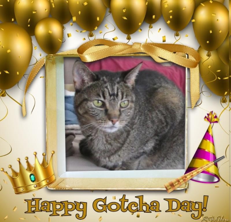 Ivy of the Jax family