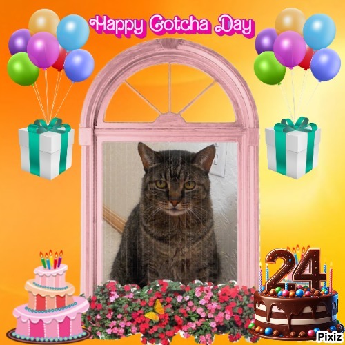 Ivy of the Jax family