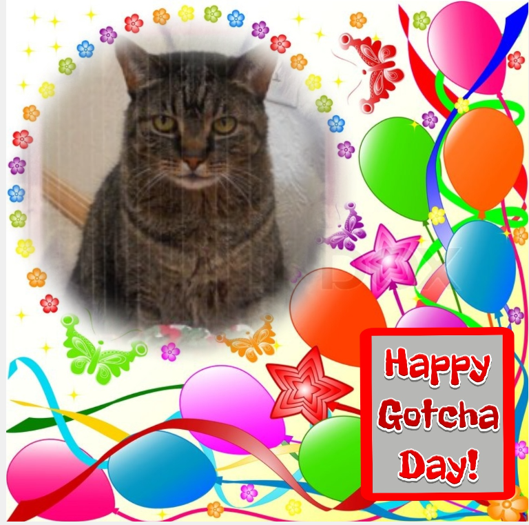 Ivy of the Jax family