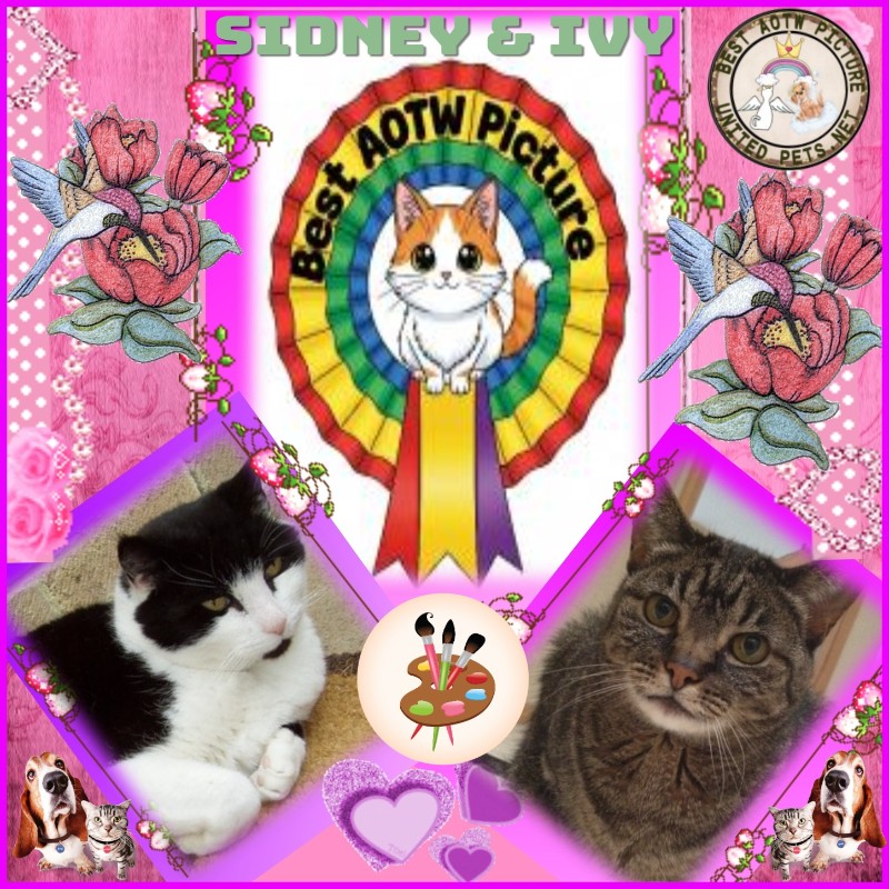 Ivy of the Jax family