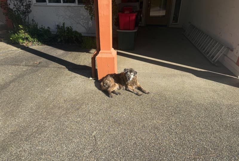 Jax uploaded   18  day/s  ago