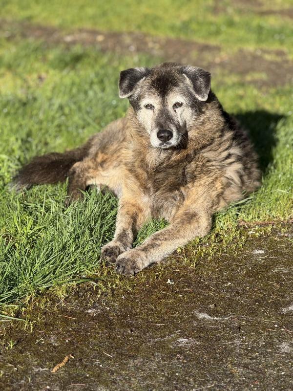 Jax uploaded   8  day/s  ago