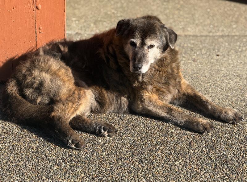 Jax uploaded   18  day/s  ago